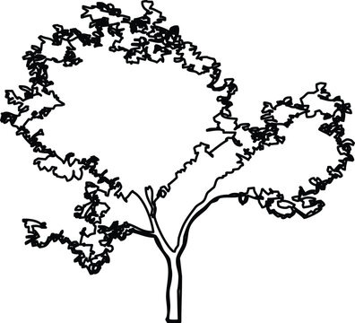 Minimalist handdrawn tree sketch, black and white vector illustration of a deciduous tree with a spreading canopy and textured foliage outline, simple artistic nature graphic for design projects