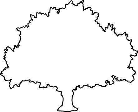 Black and white outline of a deciduous tree silhouette
