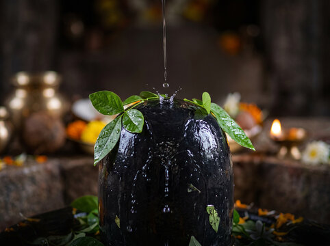 Shivling Abhishekam with water pouring and bel leaves during Mahashivratri ritual