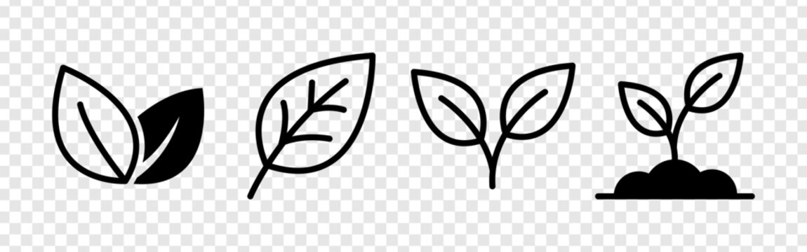 Organic leaf and sprout symbols representing nature and growth. sustainable environment icons for ecological projects. natural botanical design elements. clean minimalist graphic illustration set