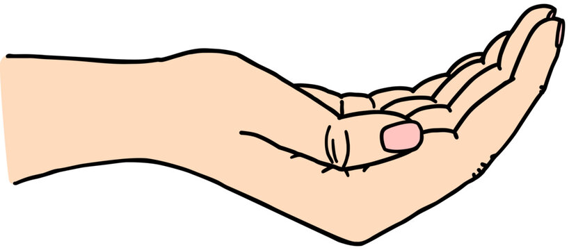 Cupped Hand giving or holding illustration
