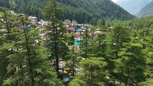 Drone tracking shot ascending past lush pine treetops to reveal Kasol trekking basecamp, framing vibrant local housing against the vast green coniferous slopes of Kullu District.