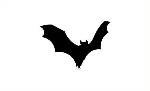 Minimal Halloween Flying Bat Illustration in Black and White, Simple Spooky Animal Vector Design