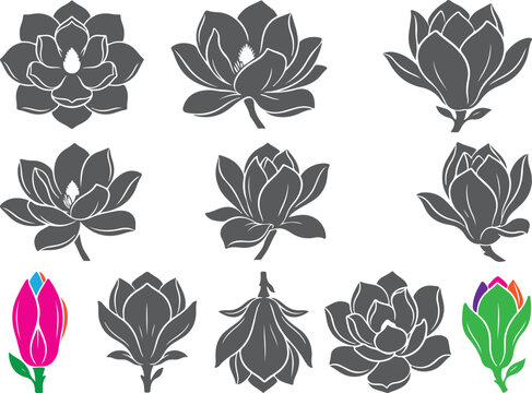Lotus flower icons in grey and colorful variations