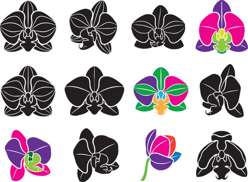 Collection of orchid flower icons in black and colorful designs


