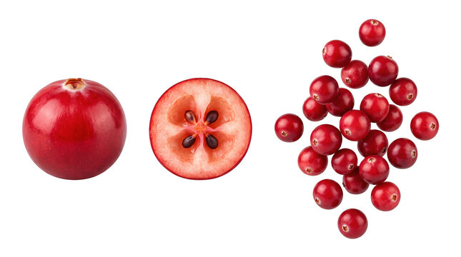 Cranberries on white background 2k isolated on a transparent background, design mockup