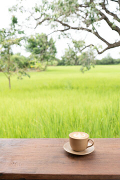 Cappuccino Coffee cup with rice field nature background