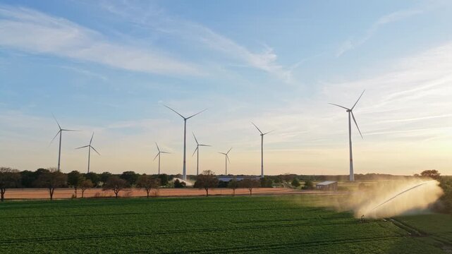 Agriculture irrigation. Cultivation and harvest. Organic harvest in farm field. Agricultural harvest. Crop cultivation. Wind turbines farm. Green energy. Sprinkler irrigation system watering field