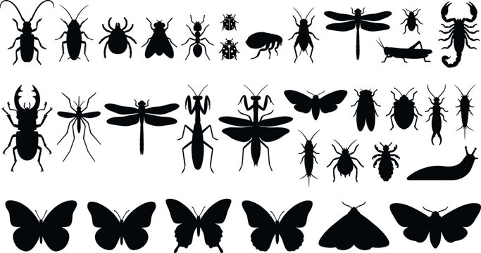 Insects and bugs black silhouette collection featuring butterfly beetle dragonfly ant mosquito and scorpion isolated on white background vector