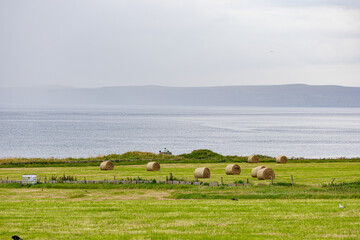 Fototapeta premium Coastal Hayfield with Ocean View in Thurso, Scotland, UK.