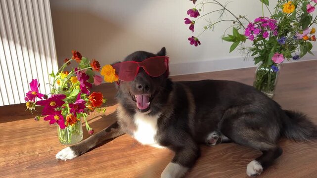 A funny dog in pink glasses, surrounded by flowers and sunlight, embodying the concept of rest and relaxation.