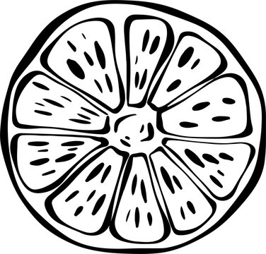 Citrus orange round slice top view 100% hand drawn black and white line art icon for juice packaging vector illustration