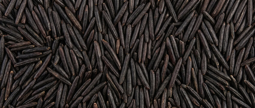 Wild rice long black texture. Overhead view of organic grain background