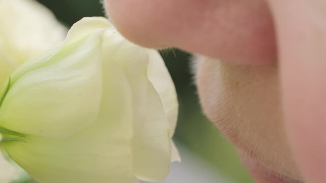 Female nose near flower blossom, hay fever quiet discomfort, springtime and beauty nature, possibly reacting pollen, while also raising awareness seasonal allergies, Sensory Experience