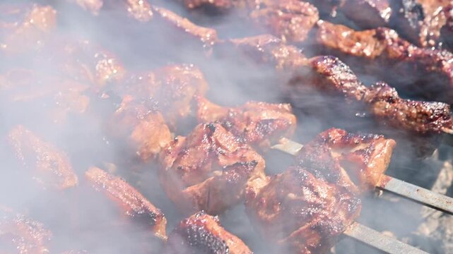 Meat on Skewers Grilling Over Hot Coals