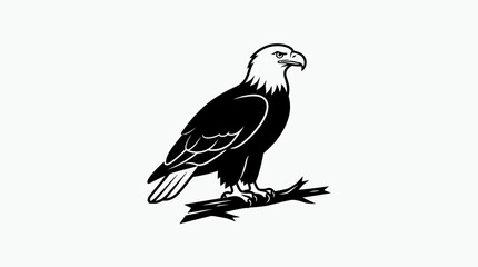 Fototapeta premium Minimalist black and white illustration of a majestic bald eagle perched on a branch.