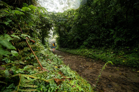 Woman hiking through lush rainforest trail in Costa Rica