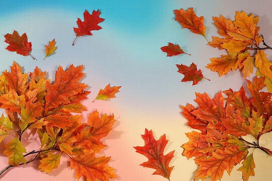 Abstract autumn composition with maple leaves against a vibrant seasonal background, still life and Thanksgiving concept, a beautiful sunny banner and design template, greeting card, Hello, Autumn