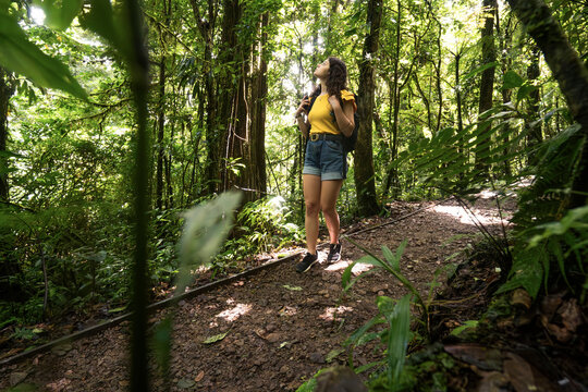 Woman explore tropical rainforest trail in Costa Rica