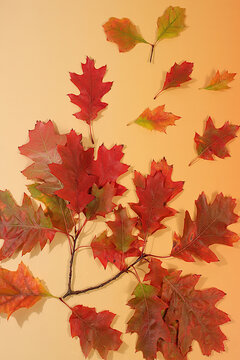 Greeting card, Hello, Autumn.Abstract autumn composition with maple leaves against a vibrant seasonal background, still life and Thanksgiving concept, a beautiful sunny banner and design template