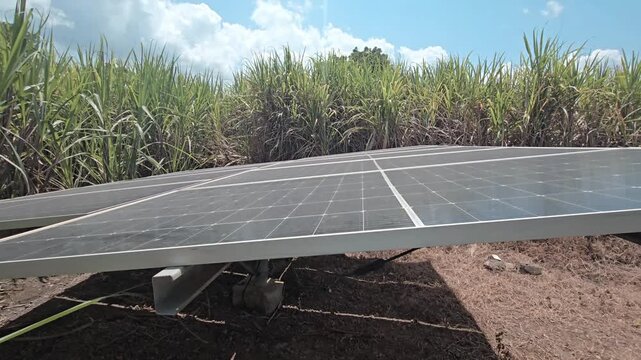 Dual-Use Land Strategy Boosting Rural Microgrids by matching photovoltaic energy systems with active sugarcane crops, showcasing practical answers for agricultural carbon footprints and grid stability