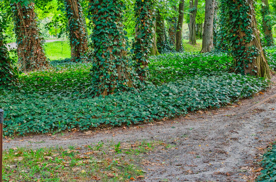 Views in the city park at the end of the fading summer.