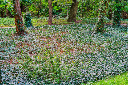 Views in the city park at the end of the fading summer.