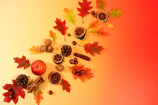 Abstract autumn composition featuring maple leaves, pine cones, nuts, cinnamon, star anise, and rowan berries, Thanksgiving themed still life, seasonal background, vibrant and beautiful screen banner