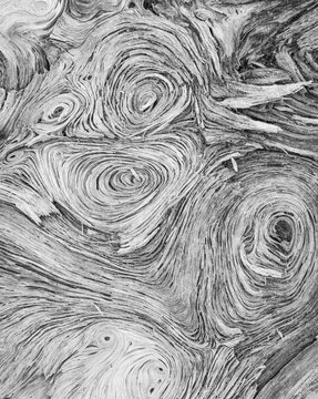 Black and white driftwood woodgrain texture at Ruby Beach
