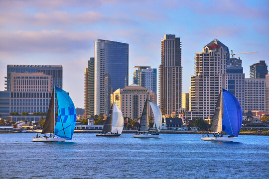 San Diego Skyline with Colorful Sailboats on Bay and Coronado Park Waterfront