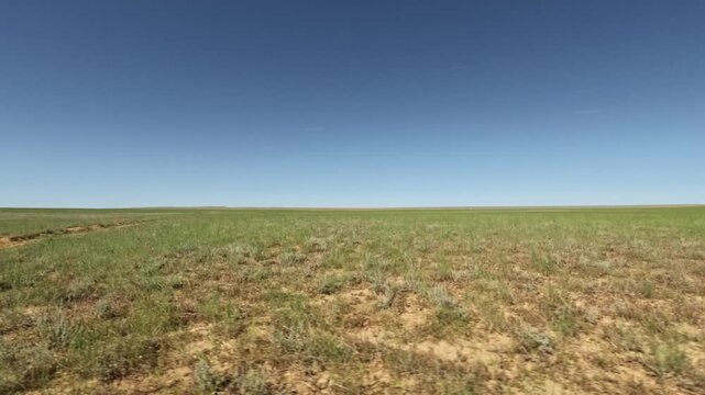 Forward Motion Along a Dirt Track on Open Grassland