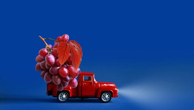 Autumn still life with grapes on a truck.