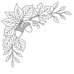 Autumn leaves and acorns corner border line art illustration © Kateryna Rudich