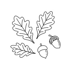 Autumn maple leaf with mushroom and acorn line art illustration © Kateryna Rudich