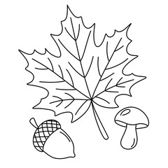 Autumn maple leaf with mushroom and acorn line art illustration © Kateryna Rudich
