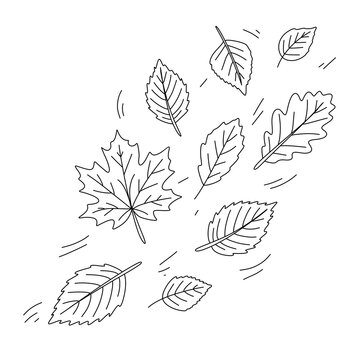 Falling autumn leaves line art illustration
