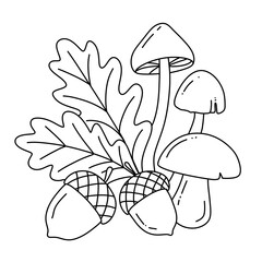 Autumn maple leaf with mushroom and acorn line art illustration © Kateryna Rudich