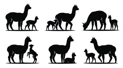 Fototapeta premium Alpaca Mother and Cria Baby Silhouette Vector Set Isolated on White Background 