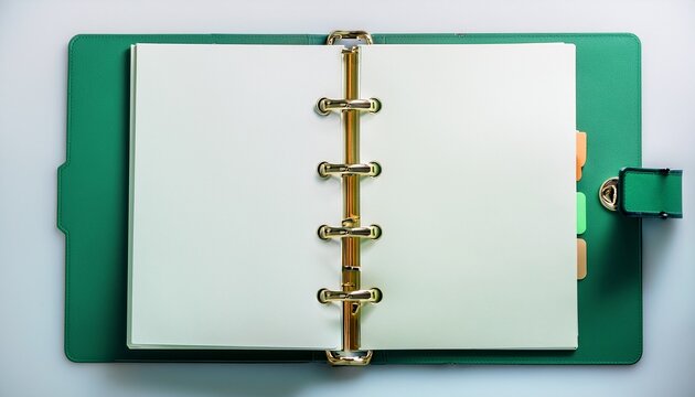 open blank light colored pages in a green binder held by brass clasps