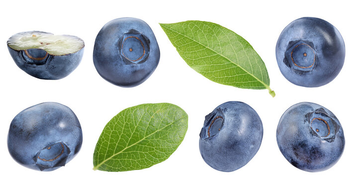 Fresh blueberries and green leaves isolated on white, set