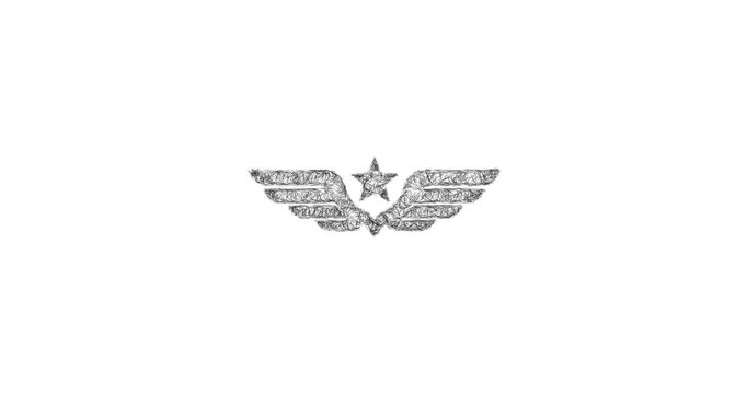 Sketch air force fighter icon animation - smooth progressive reveal