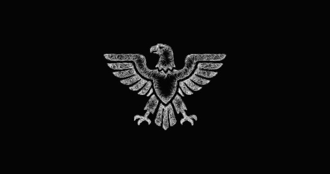 Sketch roman eagle icon animation - smooth progressive reveal