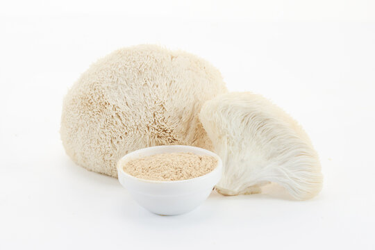 Lion's mane mushroom and extract powder for health