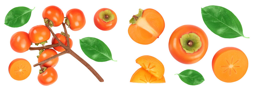 Persimmon fruit on the branch isolated on white background with full depth of field. Top view. Flat lay