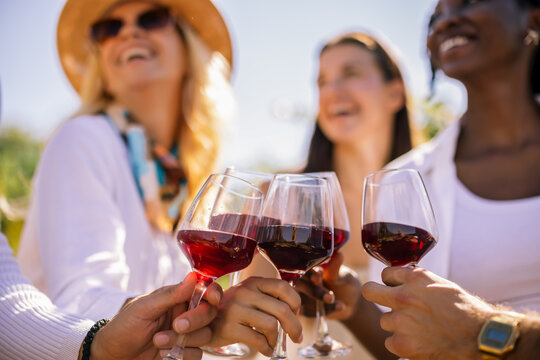 Wine Glasses Raised During Outdoor Vineyard Celebration