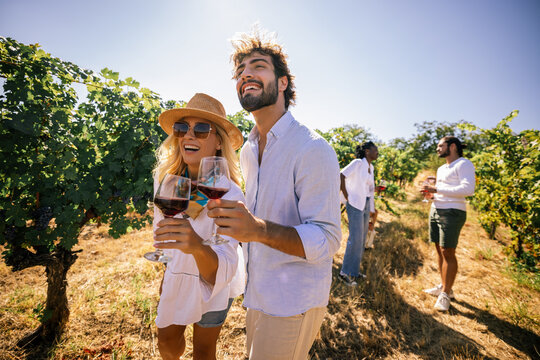 Friends Toasting with Red Wine at Vineyard