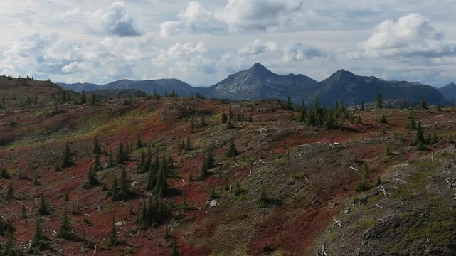 Aerial Panorama of British Columbia's Rugged Mountain Landscape Displaying Stunning Autumn Colors
