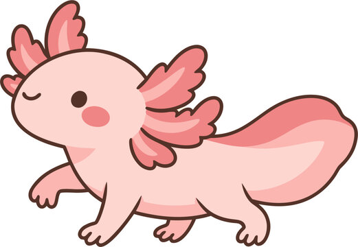 a charming cartoon axolotl vector