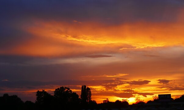 Colorful sunset with dramatic clouds and trees silhouettes with burning sun, colorful sunset landscapes