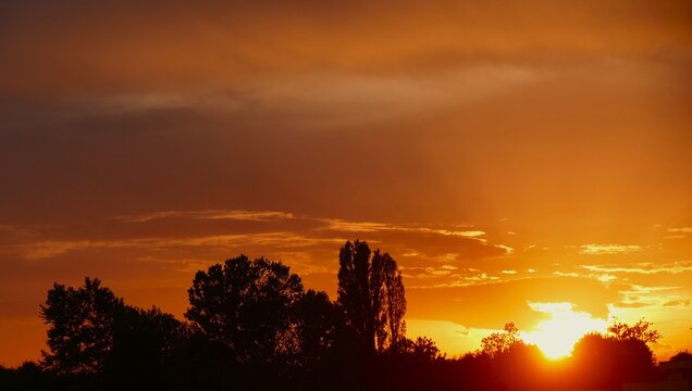 Colorful sunset with dramatic clouds and trees silhouettes with burning sun, colorful sunset landscapes